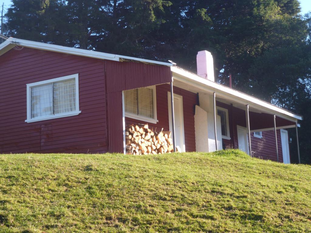 Red Shed Quarters Villa Kotemaori Bagian luar foto